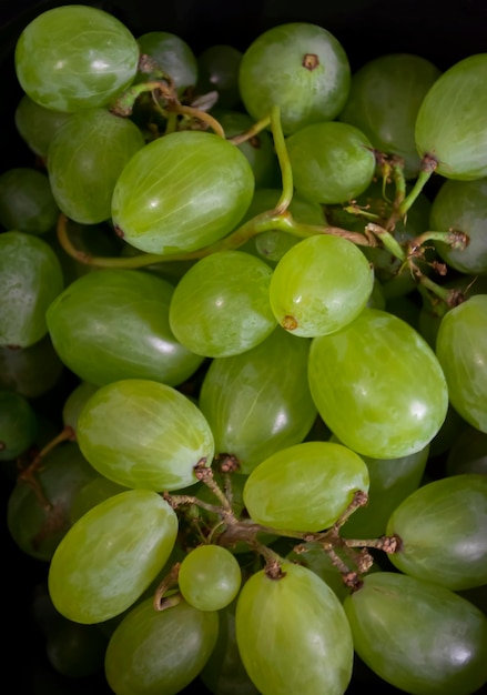 Uva verde su sfondo nero Uva brillante e succosa in autunno Uva di grandi dimensioni sul buio