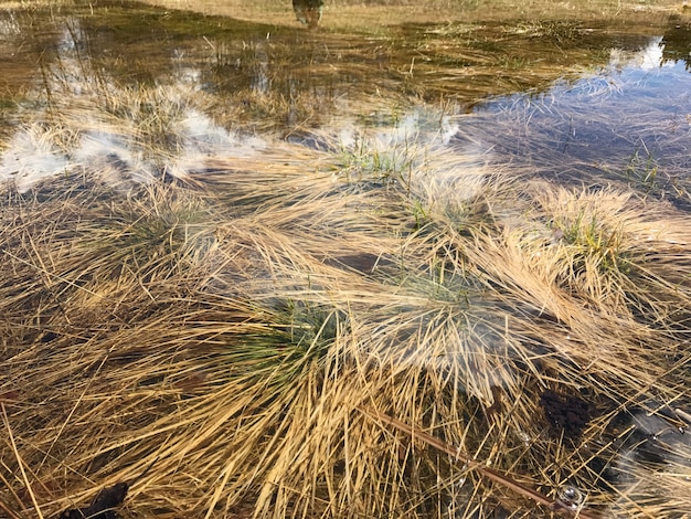 Vacanza alla natura