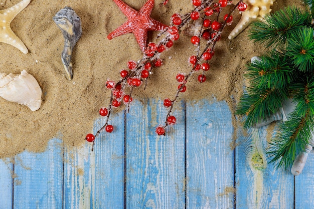 Vacanza con le conchiglie di Starfishand su un ramo dell'albero di Natale con fondo di legno blu