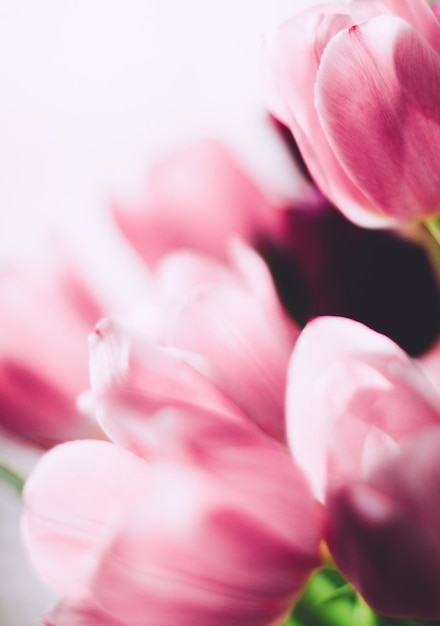 Vacanza di matrimonio con bouquet di tulipani e concetto in stile giardino floreale