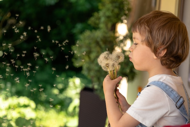 vacanze estive un bambino si siede con i dandelios che li soffiano via