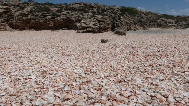 Vacanze nella natura