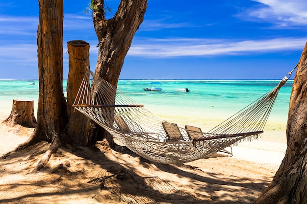 Vacanze tropicali, amaca sulla spiaggia