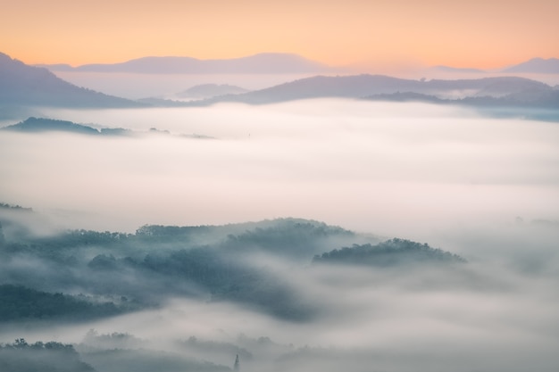 Valle al mattino Con fitta nebbia