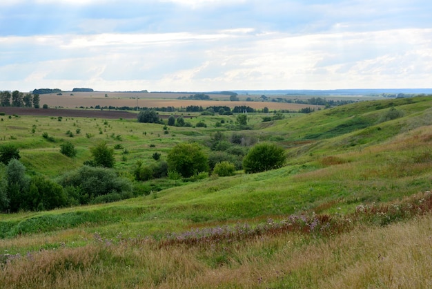 valle con dolci colline e cespugli verdi e cielo nuvoloso