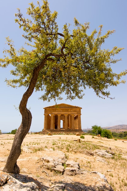 Valle dei Templi, Agrigento Sicilia in Italia.