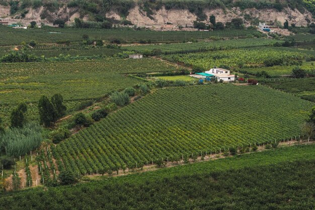 Valle del fiume Mala a Lima, in Perù