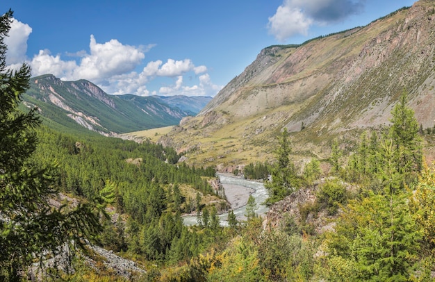 Valle della montagna con il fiume in una giornata estiva