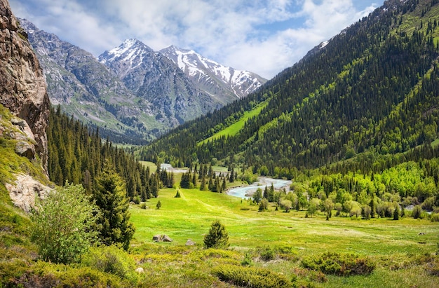 valle della montagna