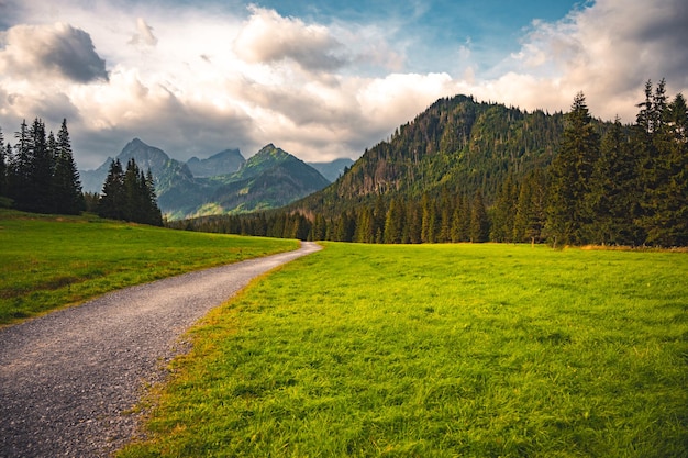 Valle di Bielovodska in Alti Tatra Slovacchia Slovacchia paesaggio