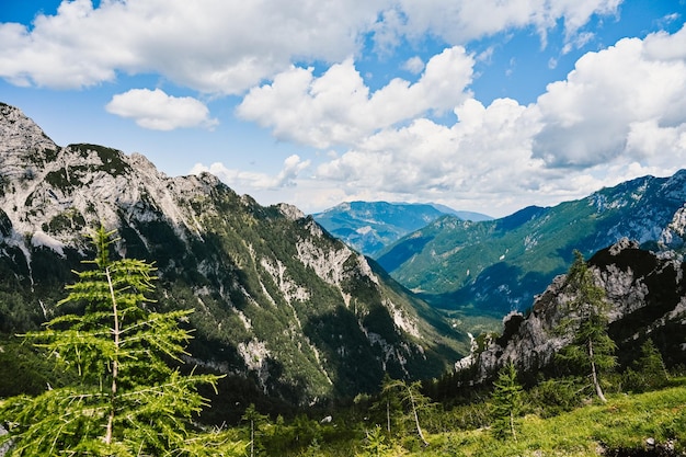 Valle di Logar o Logarska dolina Slovenia Europa Escursionismo nelle Alpi della savinja e montagna slovena Sito popolare per un'escursione nel parco nazionale del Triglav