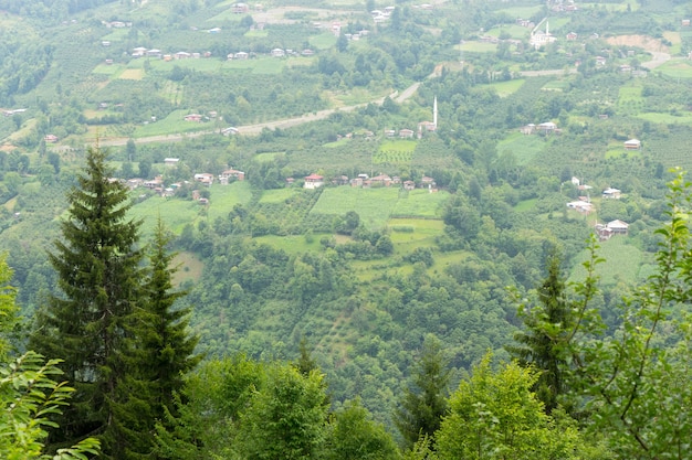 Valle di Macael nel Mar Nero orientale Artvin Turchia