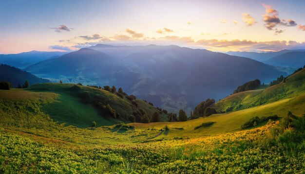 Valle di montagna all'alba Bellissimi paesaggi naturali in estate