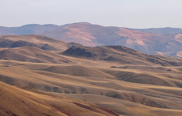 Valle di montagna, colline senza foreste in autunno all'alba. Altai, Russia.