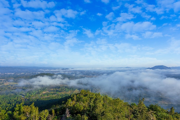 Valle di montagna durante l'alba Paesaggio estivo naturale