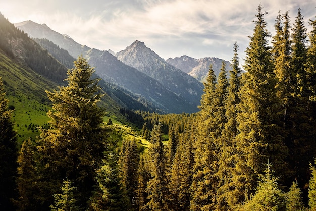 Valle di montagna in Kirghizistan