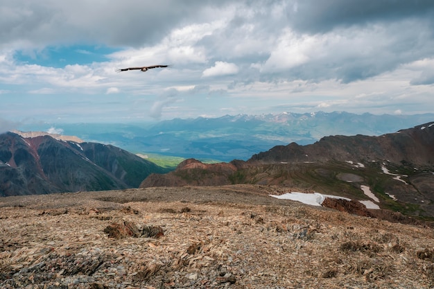 Valle di montagna rocciosa con un uccello in volo. Valle dell'altopiano tra la catena montuosa innevata e il picco appuntito sotto il cielo blu. Atmosferico scenario di montagna.