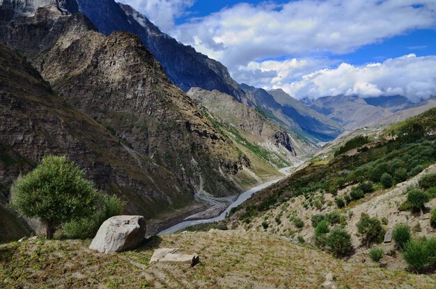 Valle di montagna verde