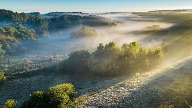 Valle nebbiosa e fiume in autunno all'alba