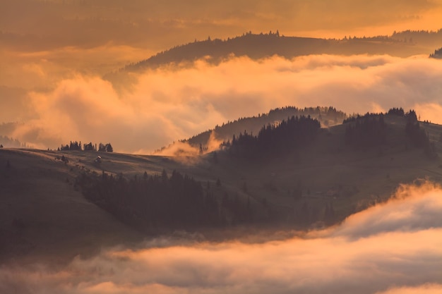 Valle nebbiosa in montagna all'alba Bellissimo paesaggio