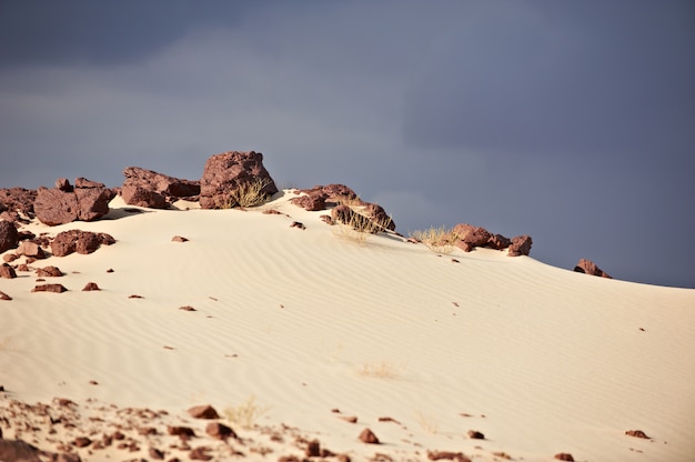 Valle nel deserto del Sinai con dune di sabbia