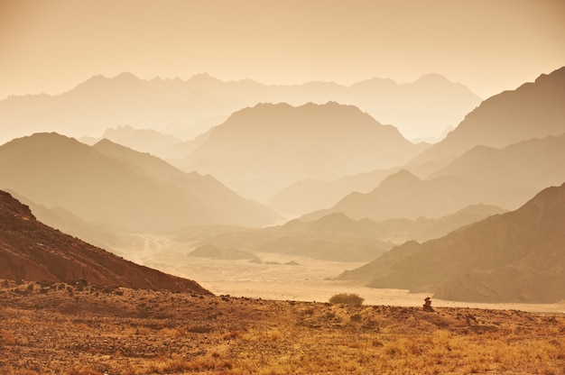 Valle nel deserto del Sinai