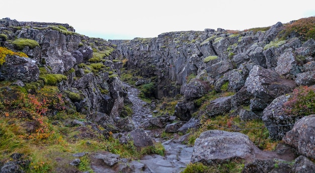 Valle nel Parco Nazionale di Thingvellir Islanda sudoccidentale