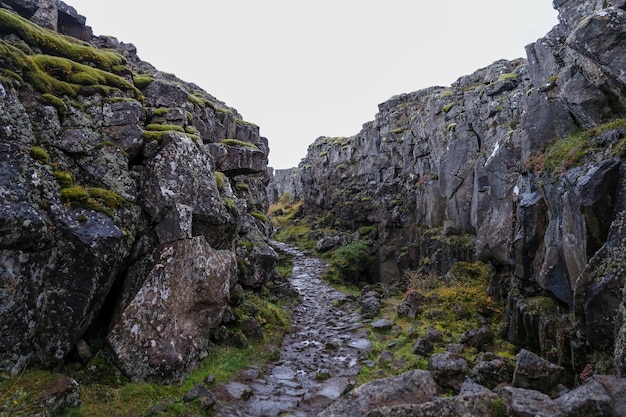Valle nel Parco Nazionale di Thingvellir Islanda sudoccidentale