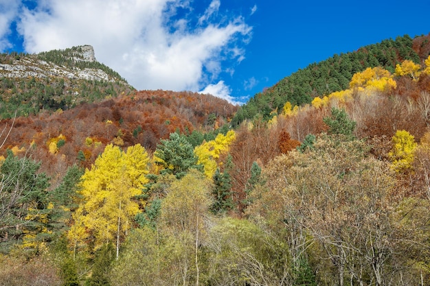 Valle Pineta a Ordesa e Parco Nazionale del Monte Perdido in Spagna