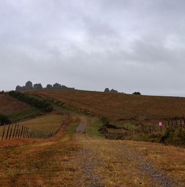 Valle sotto la nebbia al mattino Incredibile scenario naturale lungo il Chemin du Puy