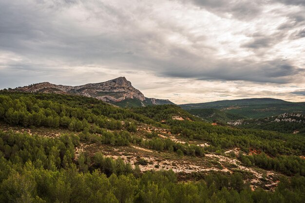 Valle verde con la Montagne SainteVictoire sullo sfondo Francia