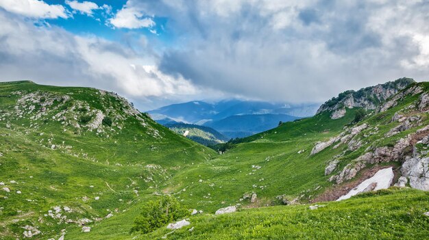 Valli di montagna e prati alpini di Lagonaki, Caucaso, Russia