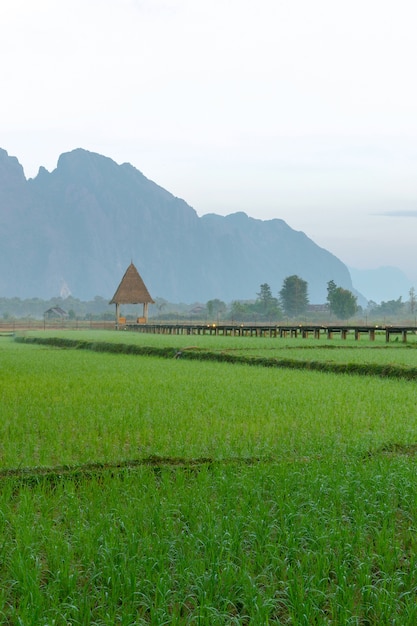 Vang Vieng, Laos