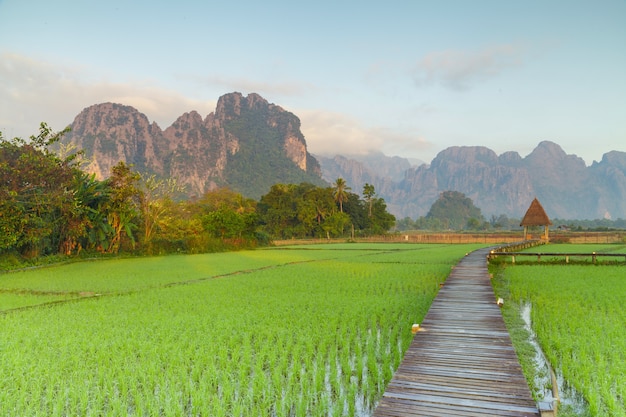 Vang Vieng