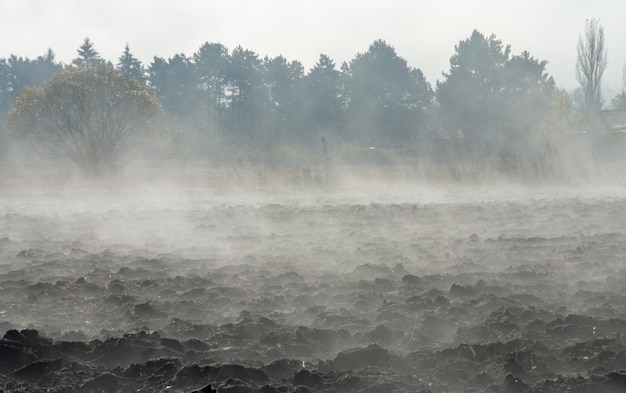 Vapore che evapora da un campo arabile