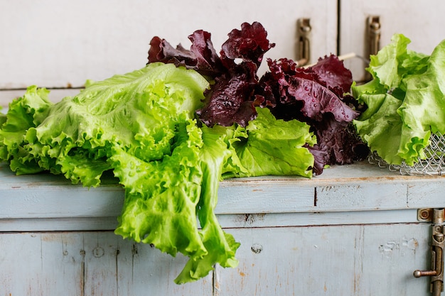 Vari di insalata di foglie