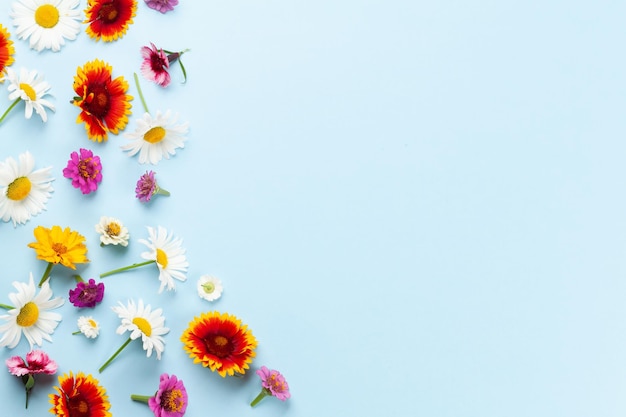 Vari fiori da giardino su sfondo di legno