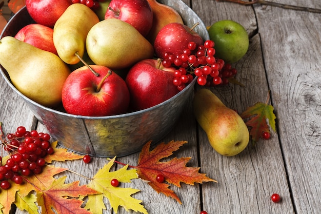 Vari frutti, sorbo, mele, pere nel vecchio bacino di metallo e foglie di autunno su legno rustico stagionato