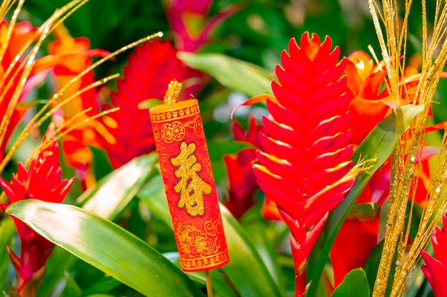Varie forme di ornamenti tradizionali del Festival di Primavera cinese (testo: tutte parole di buon auspicio)