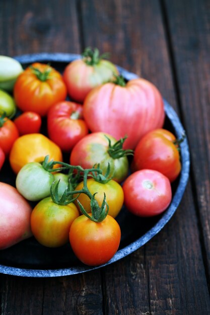 Varie forme e colori di pomodori in lamiera