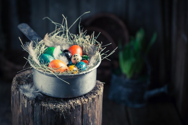 Varie uova di Pasqua nel nido con fieno