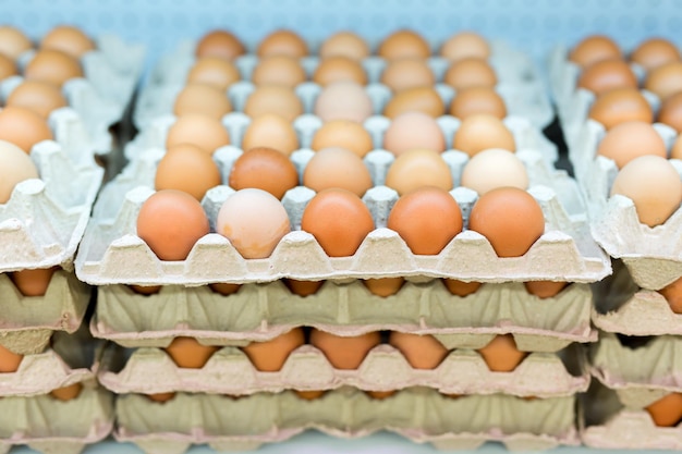 Varietà di confezioni di uova sugli scaffali di un supermercato