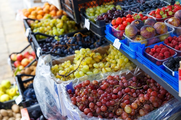 Varietà di frutta in scatole