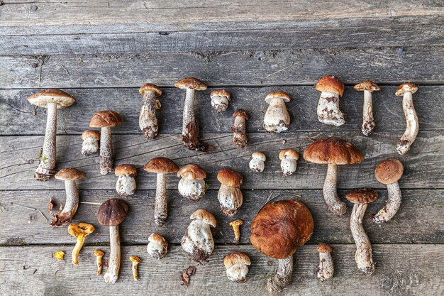 Varietà di funghi commestibili crudi Penny Bun Boletus leccinum sul tavolo rustico