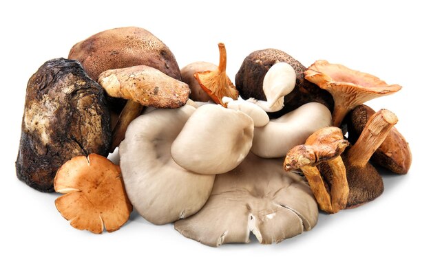 Varietà di funghi crudi su sfondo bianco