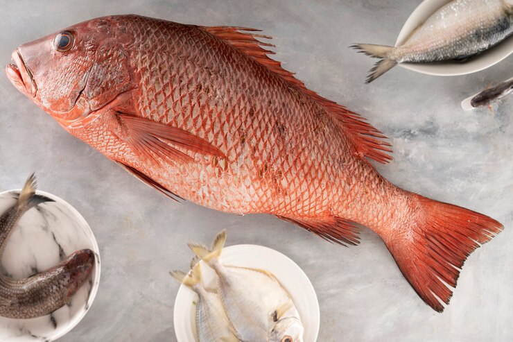 Varietà di pesce crudo fresco sul tavolo