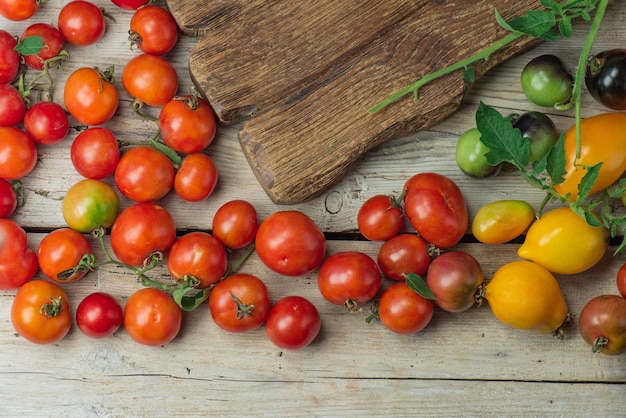 Varietà di pomodori diversi maturi organici naturali deliziosi