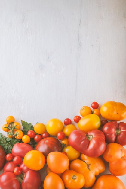 varietà di pomodori organici colorati maturi