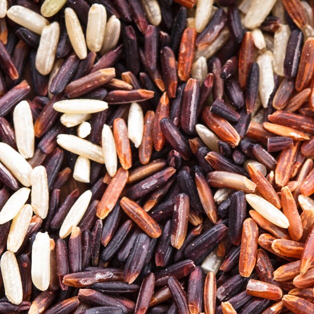 Varietà di riso sparso sano: marrone, rosso e nero selvatico