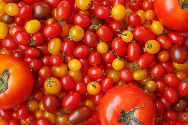 Varietà di sfondo colorato pomodoro biologico